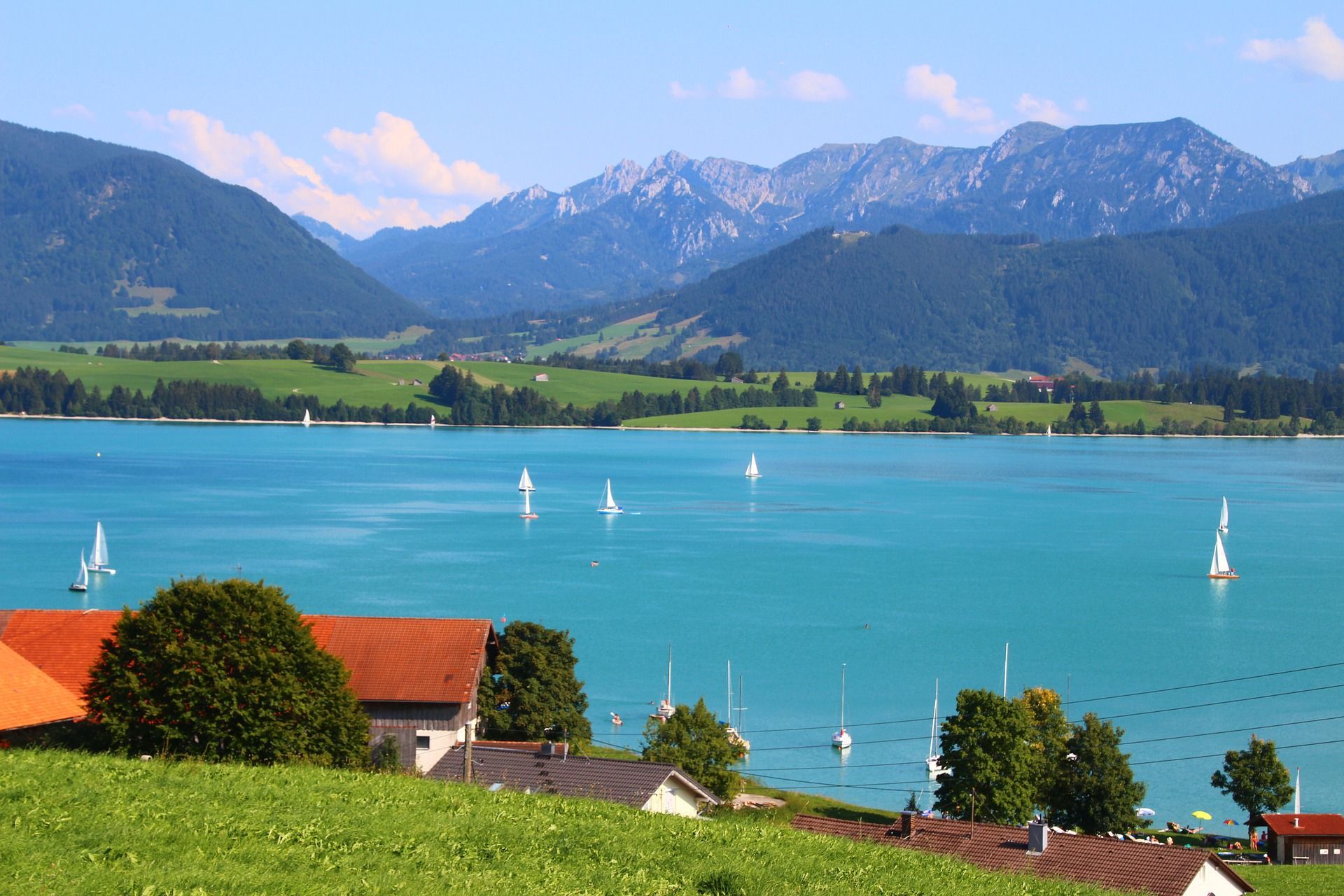 Blick auf den Forggensee