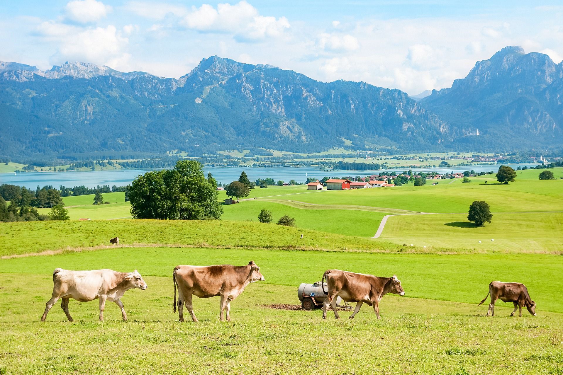 Forggensee mit Alpenpanorama